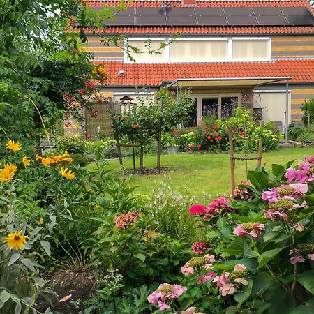 Haak Halle (Westfalen)