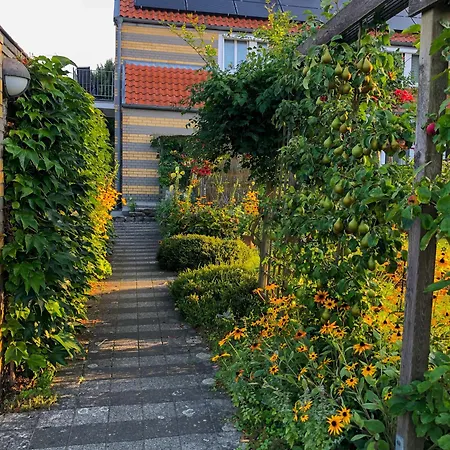 Haak Halle