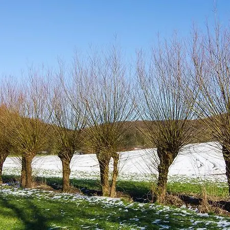 Haak * Halle (Westfalen)