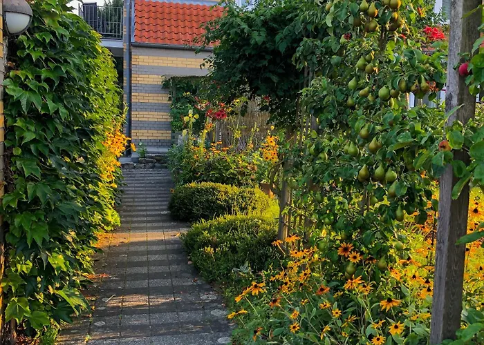 Haak Lichtenau/Westfalen