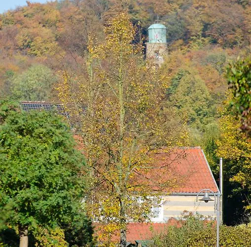 Daire Haak Halle (Westfalen)